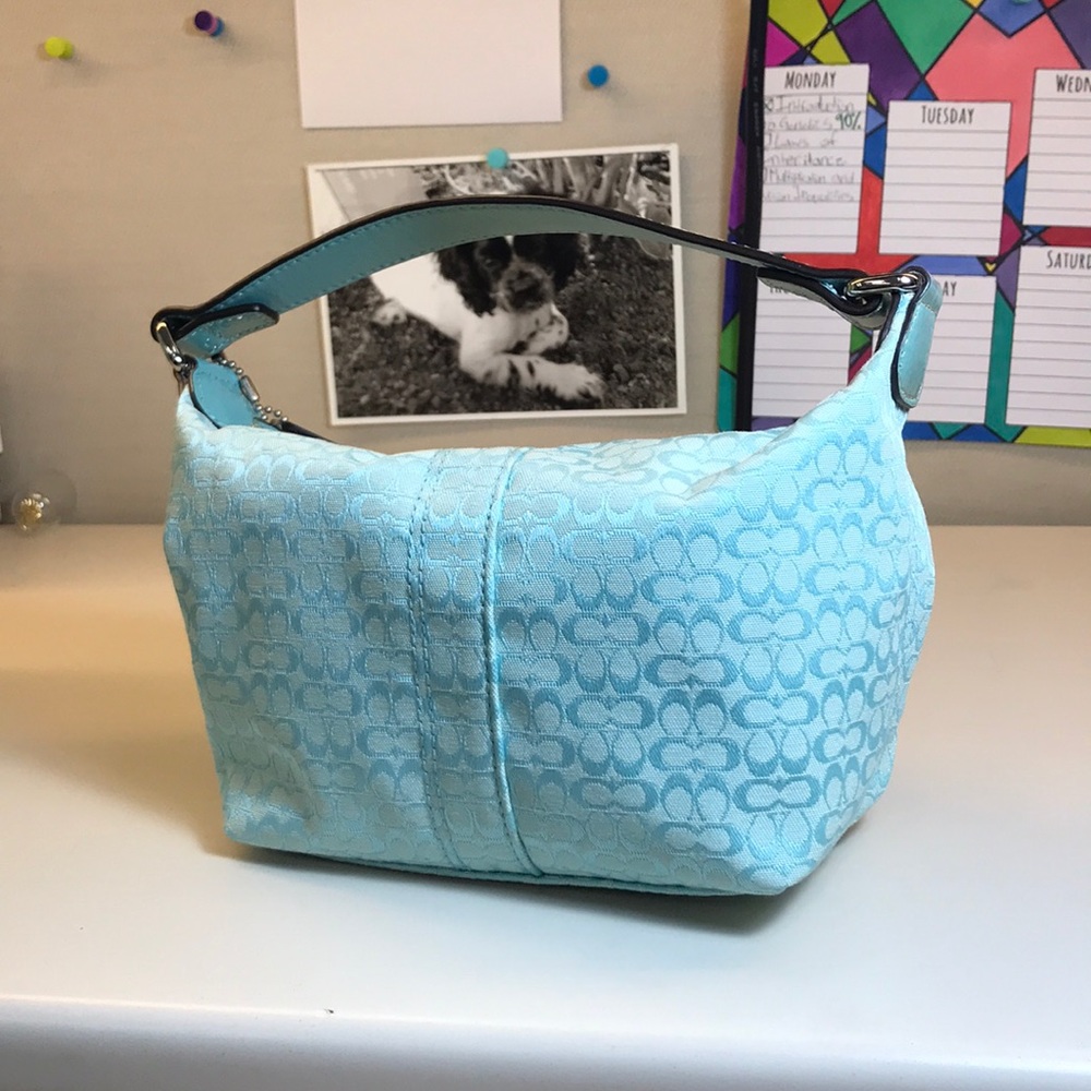 Coach Makeup bag